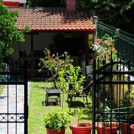 Homestay Theano